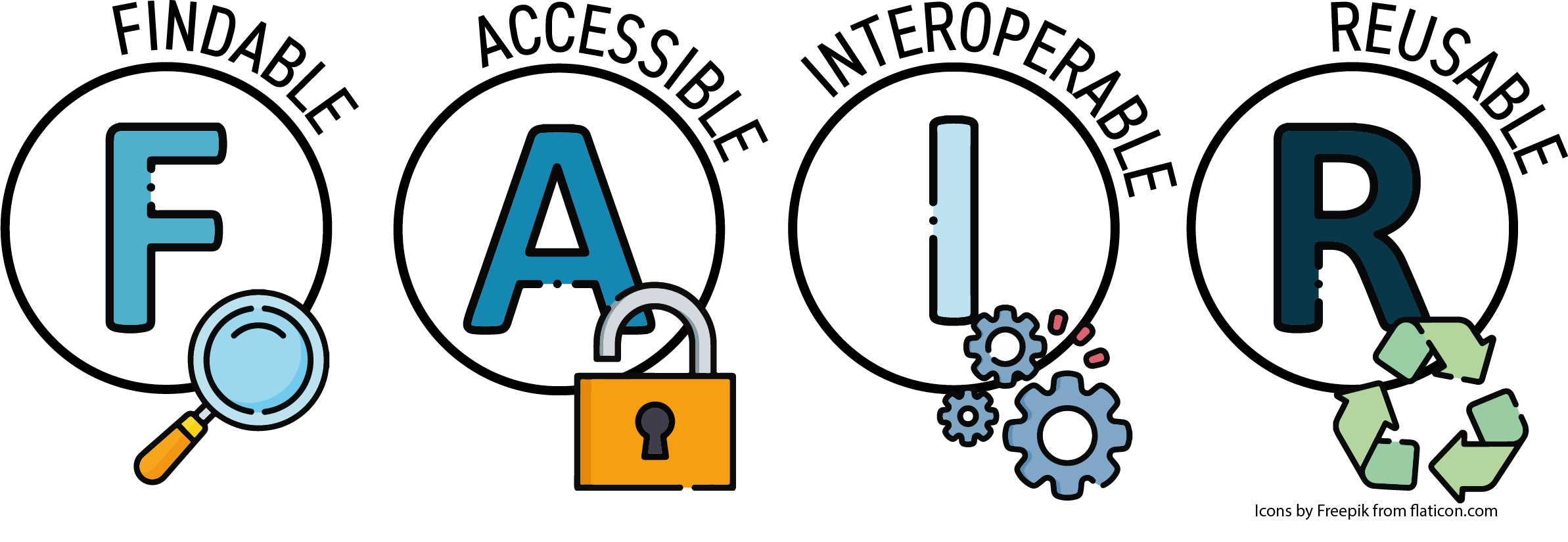 A graphic showing the 4 FAIR Principles: Findable (illustrated with a magnifying glass), Accessible (illustrated with an open lock), Interoperable (illustrated with interlocking gears) and Reusable (illustrated with a green recycling symbol)